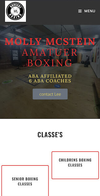 molly mcstein boxing gym website