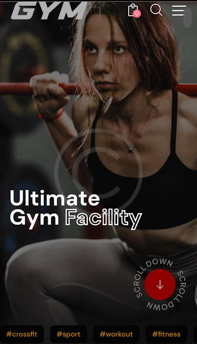 Gym website